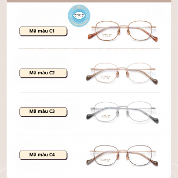 Gọng kính kim loại mã 6110